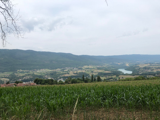Le Rh&ocirc;ne