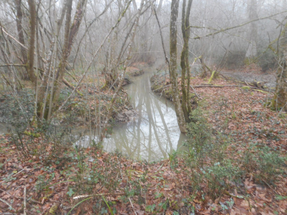 Le Rieu Tord