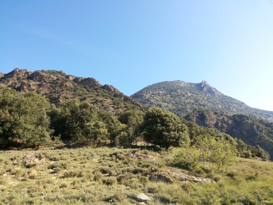 Le Roc Campagna dominant la vallée de la Têt