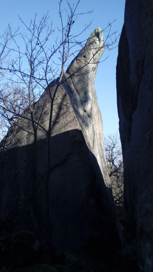 Le Roche cornue