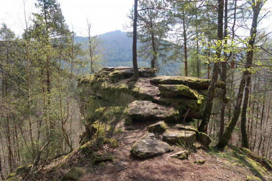 Le rocher de l\'étang
