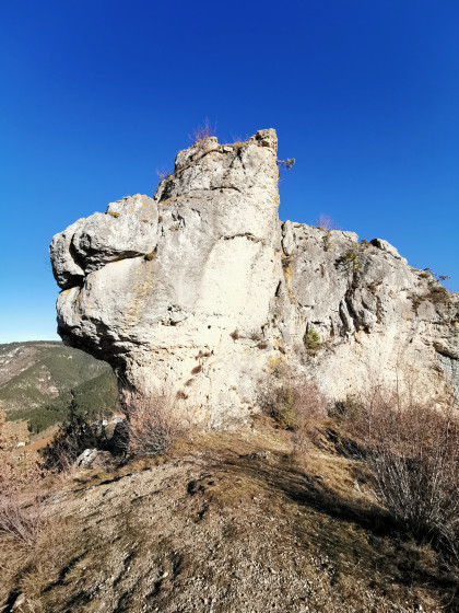 Le rocher du lion