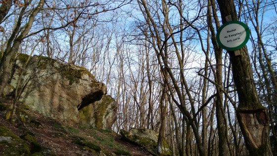 Le rocher du sanglier