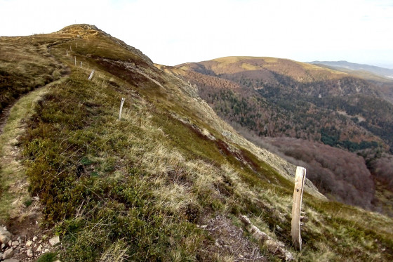 Le Rothenbachkopf (1316 m)