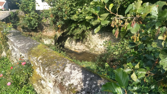 le ru de Gally &agrave; Rennemoulin