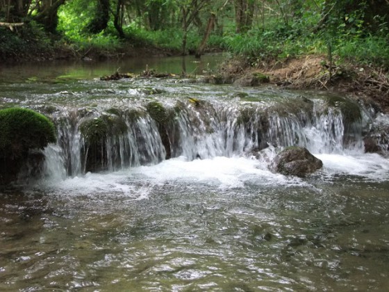 A faire : Val Suzon : de sources en grottes - Randonnée