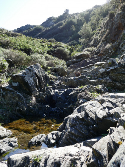 Le ruisseau au-dessus du bassin