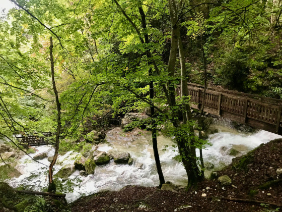 Le Ruisseau d’Alloix bien nourri