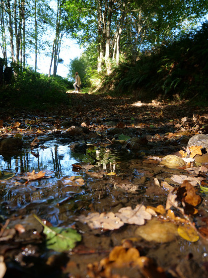 Le ruisseau d'Argain