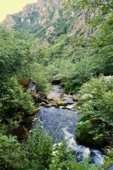 Le Ruisseau d\'Escales