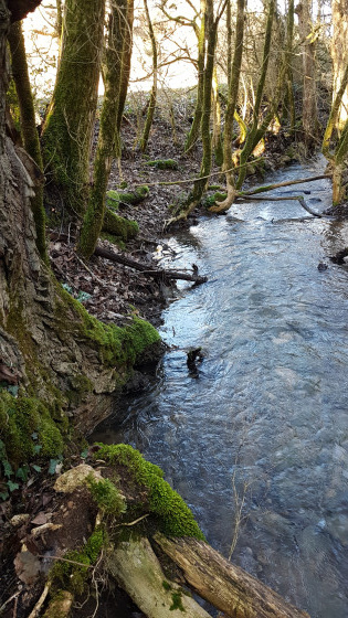 Le Ruisseau de Bonnan