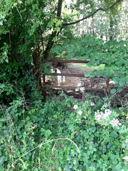 Le Ruisseau de Courbagne