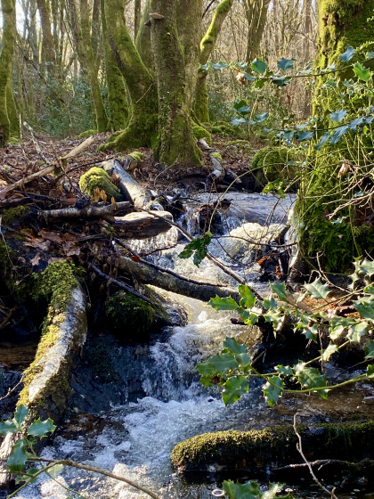 Le Ruisseau de la Chaume