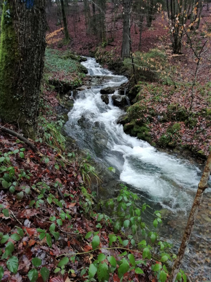 Le ruisseau de la Gire