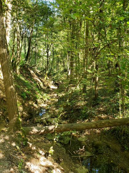 Le ruisseau de Larmy