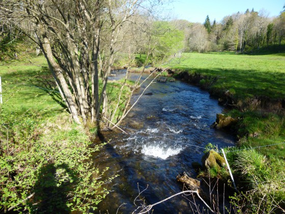 Le ruisseau de Nègrerieu
