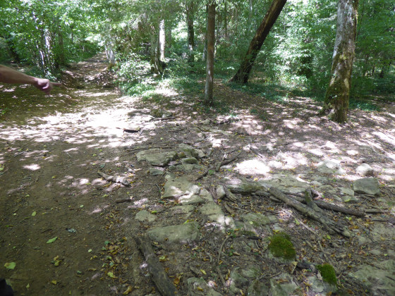 Le ruisseau de Pr&eacute;s Fond