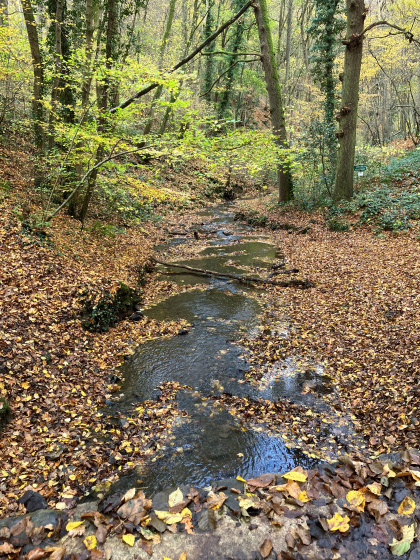 Le ruisseau de Solières