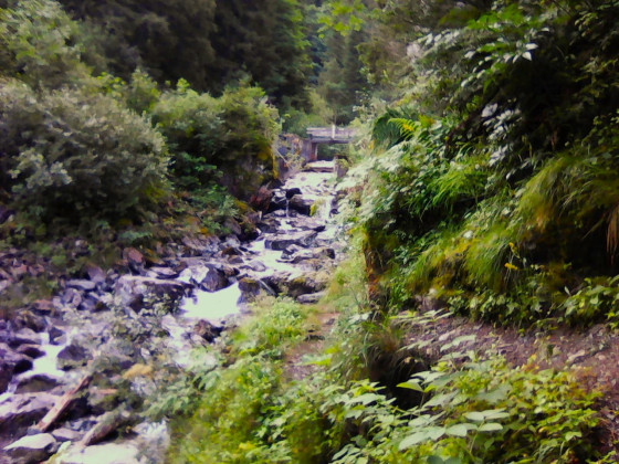 Le Ruisseau De Vorz
