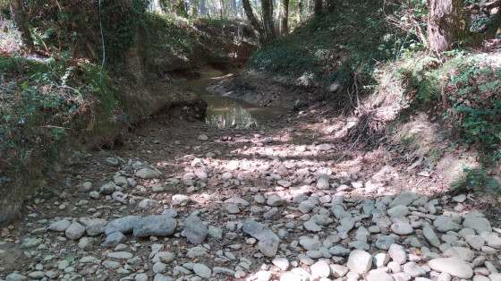 le ruisseau des Secs