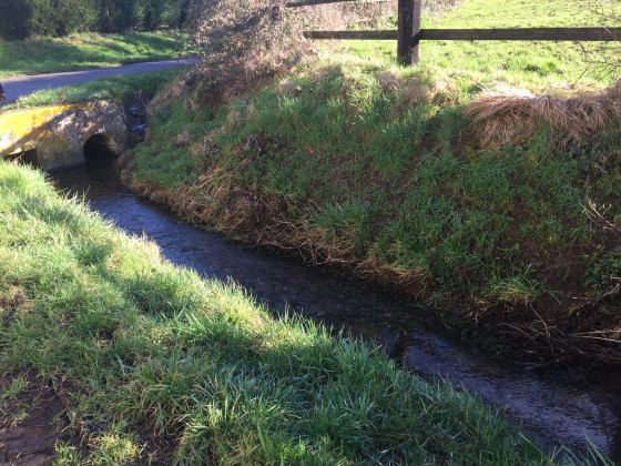 Le ruisseau du Douet à la Cour