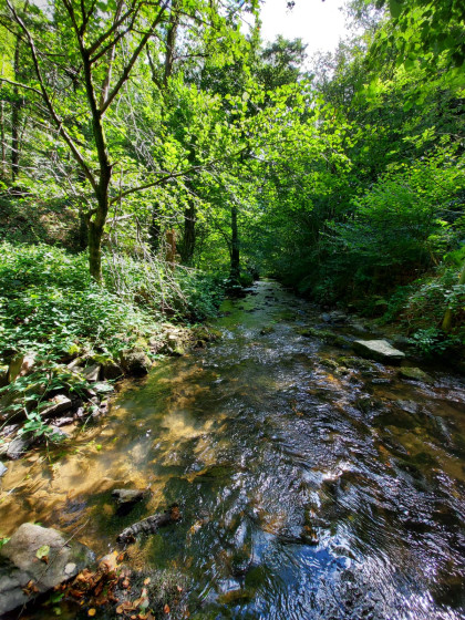 Le ruisseau du Jaoul