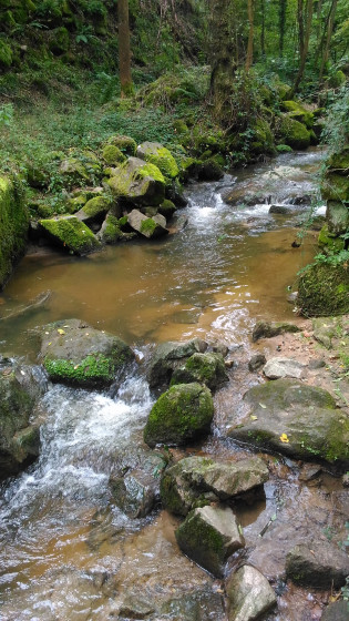 Le Ruisseau du Rattier
