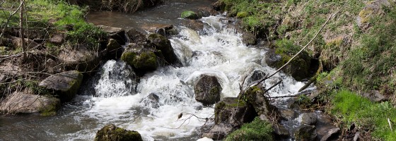 Le ruisseau du Rouchoux