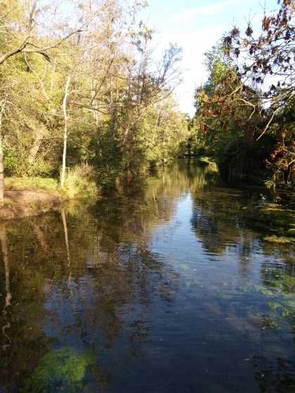 Le ruisseau 'la Pie'