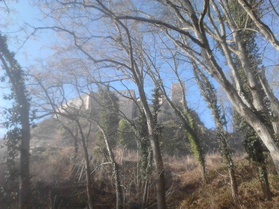 Le Saint Ulrich