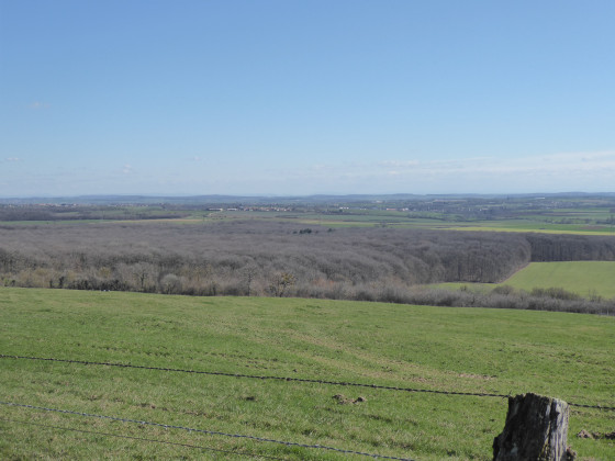 Le Saintois
