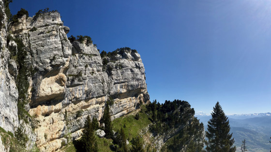 Le sangle supérieur de Belles Ombres Le sangle supérieur de Belles Ombres