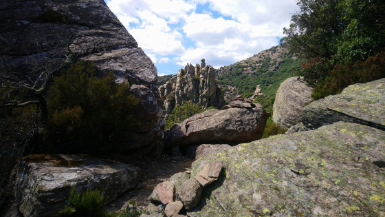 Le saut de l\'âne