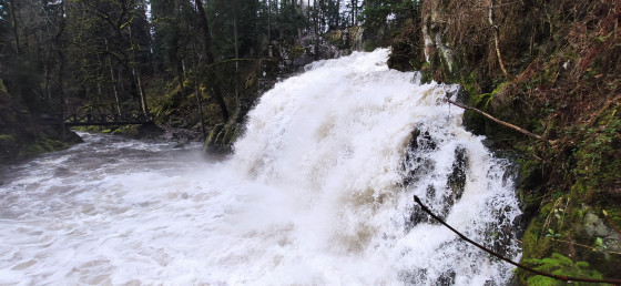 Le saut du Bouchot