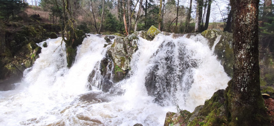 Le saut du Bouchot
