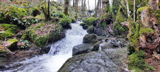 le saut du bouchot