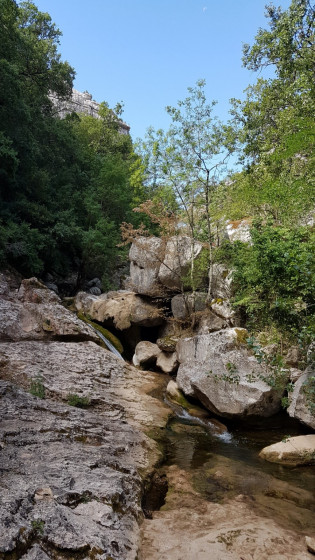 Le saut du cabri
