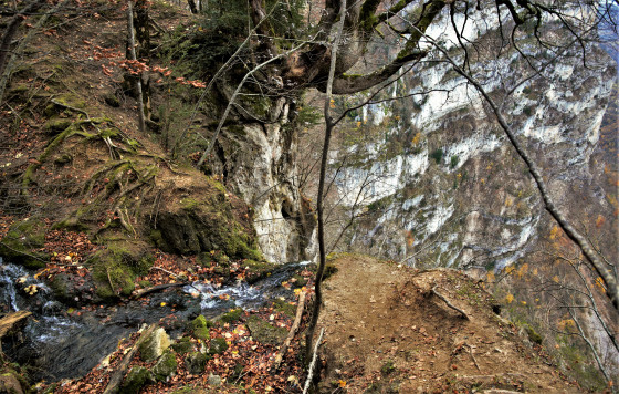 le saut du marquis