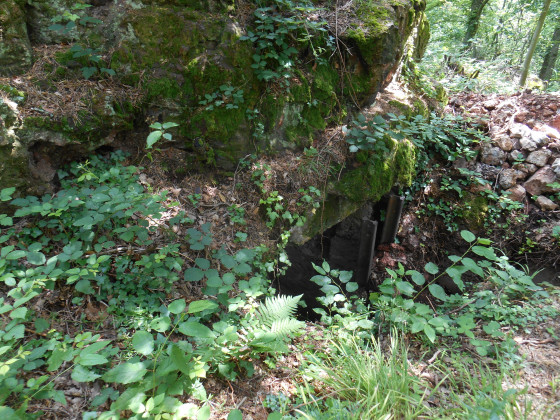 Le schletzenburg