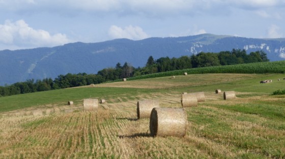 Le Semnoz