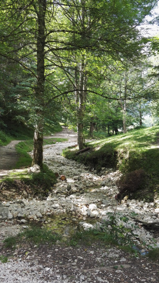 Le sentier de la cascade