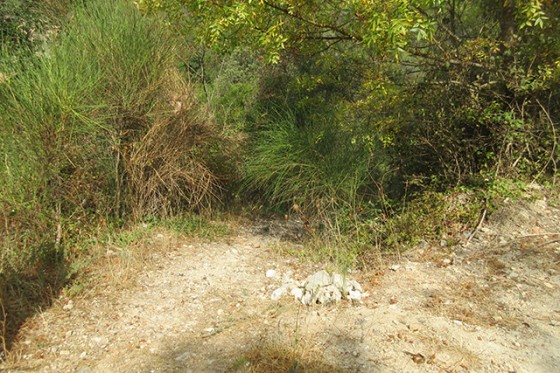 Le sentier à droite, en direction de la grotte et de la cascade.