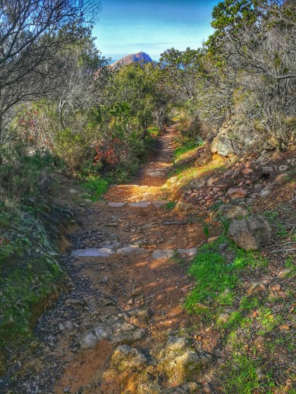Le sentier au départ