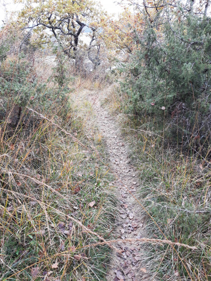 Le sentier au dessus du Lizet