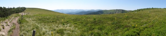 Le sentier au Haut des Chaumes