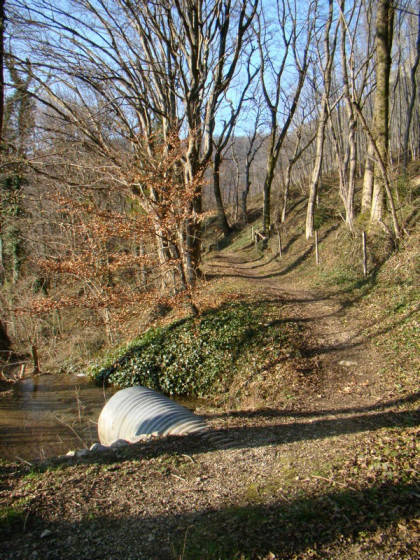 le sentier au niveau de la buse