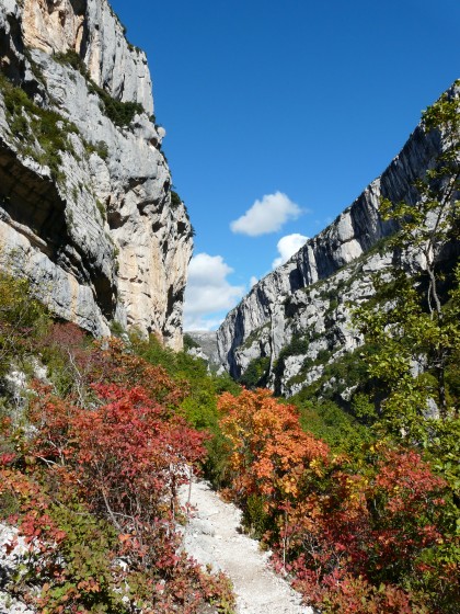 le sentier aux couleurs de l\'automne