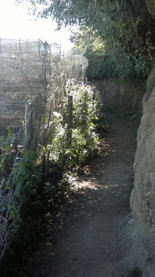 Le sentier c&ocirc;tier de la pointe du Trec'h sur l'ile aux Moines