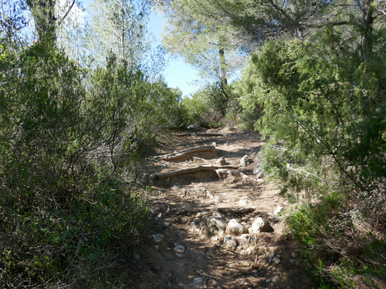 Le sentier de crête