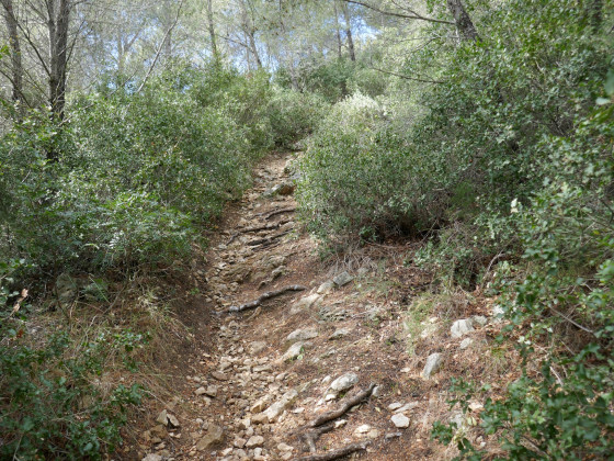 Le sentier de descente